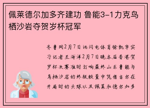 佩莱德尔加多齐建功 鲁能3-1力克鸟栖沙岩夺贺岁杯冠军