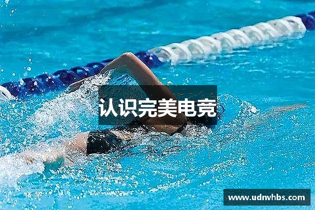 认识完美电竞
